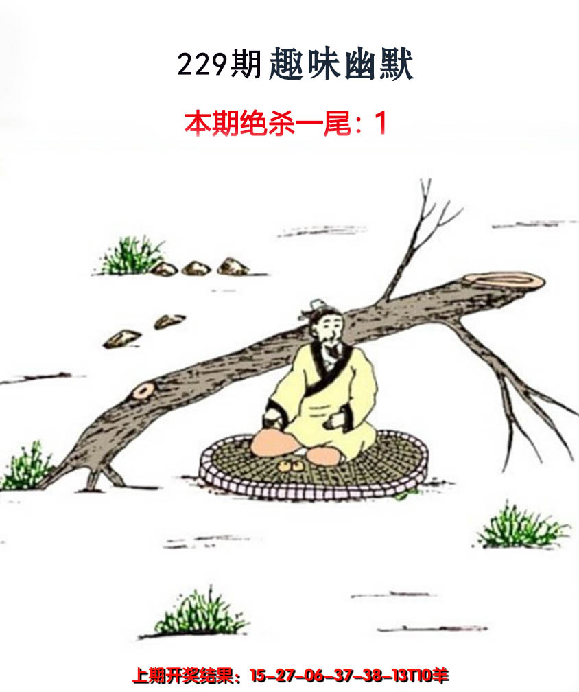 2024229期趣味幽默