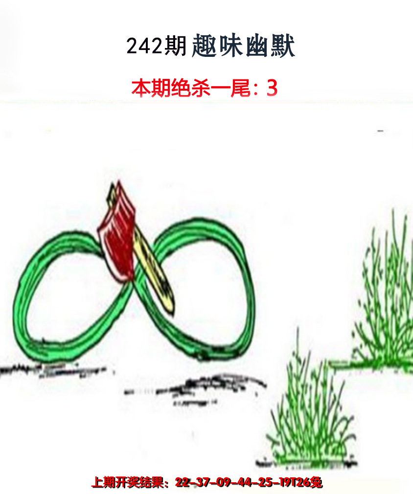 2024242期趣味幽默