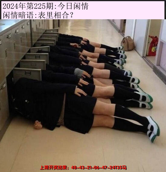 2024225期今日闲情