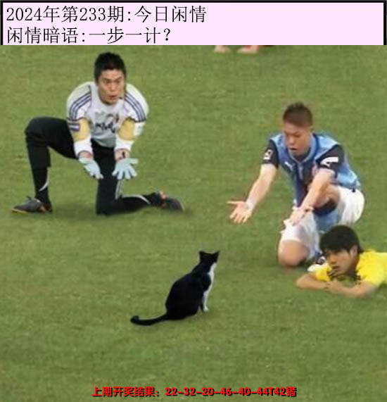 2024233期今日闲情
