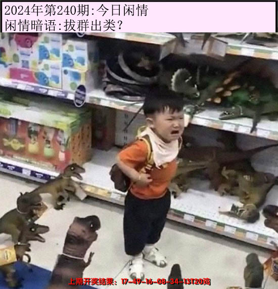 2024240期今日闲情