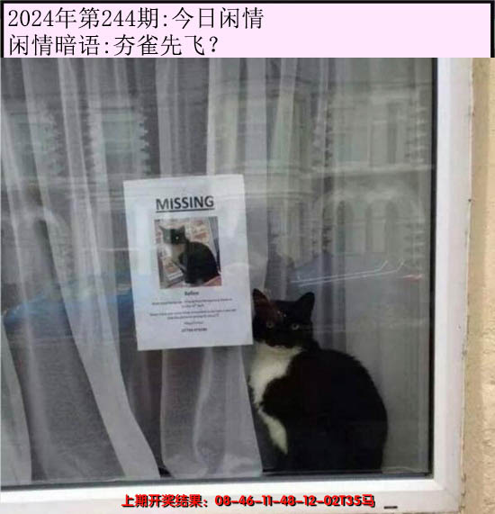 2024244期今日闲情