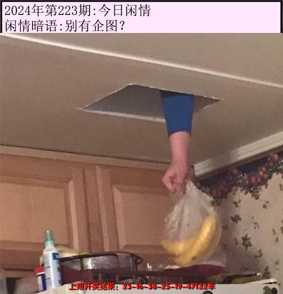 2024223期今日闲情