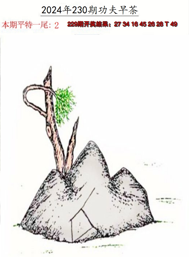 2024230期功夫早茶