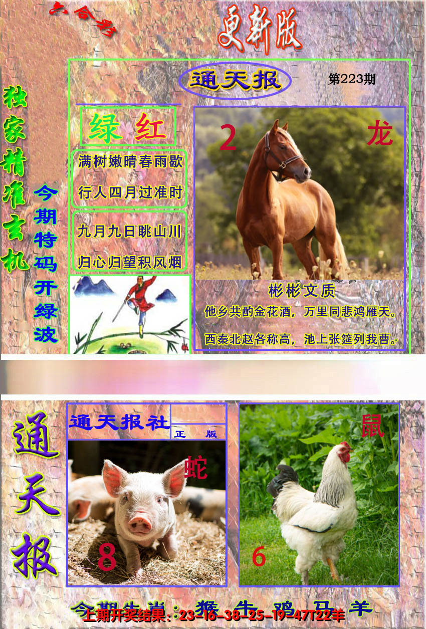 2024223期新通报
