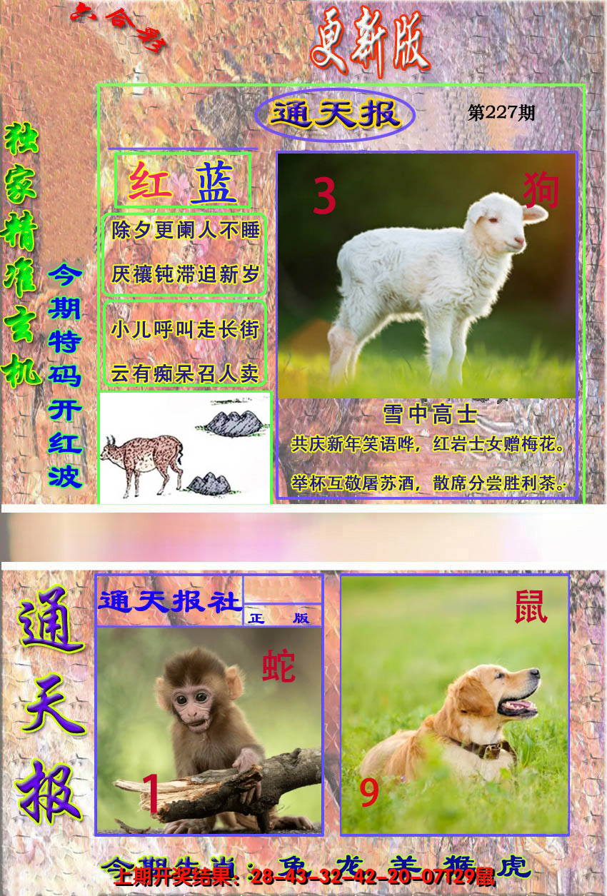 2024227期新通报