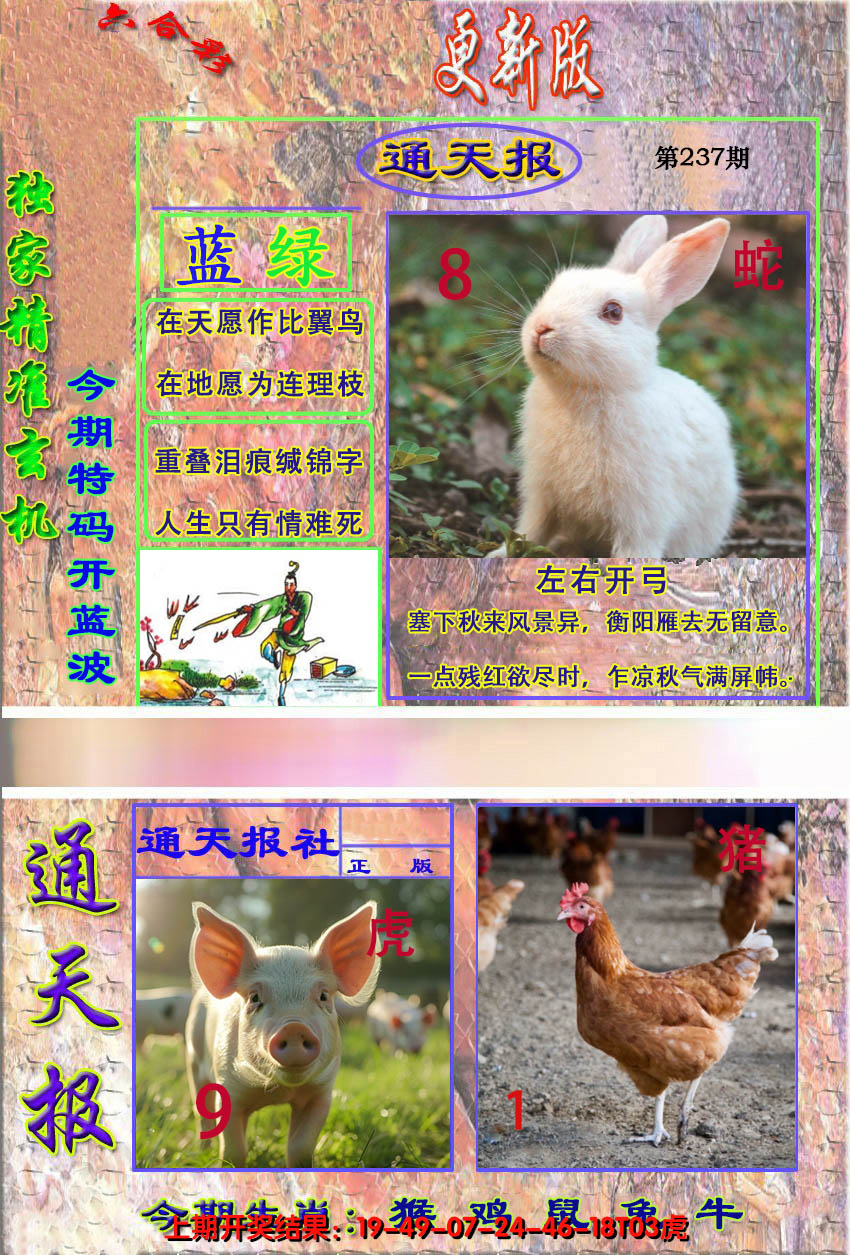 2024237期新通报