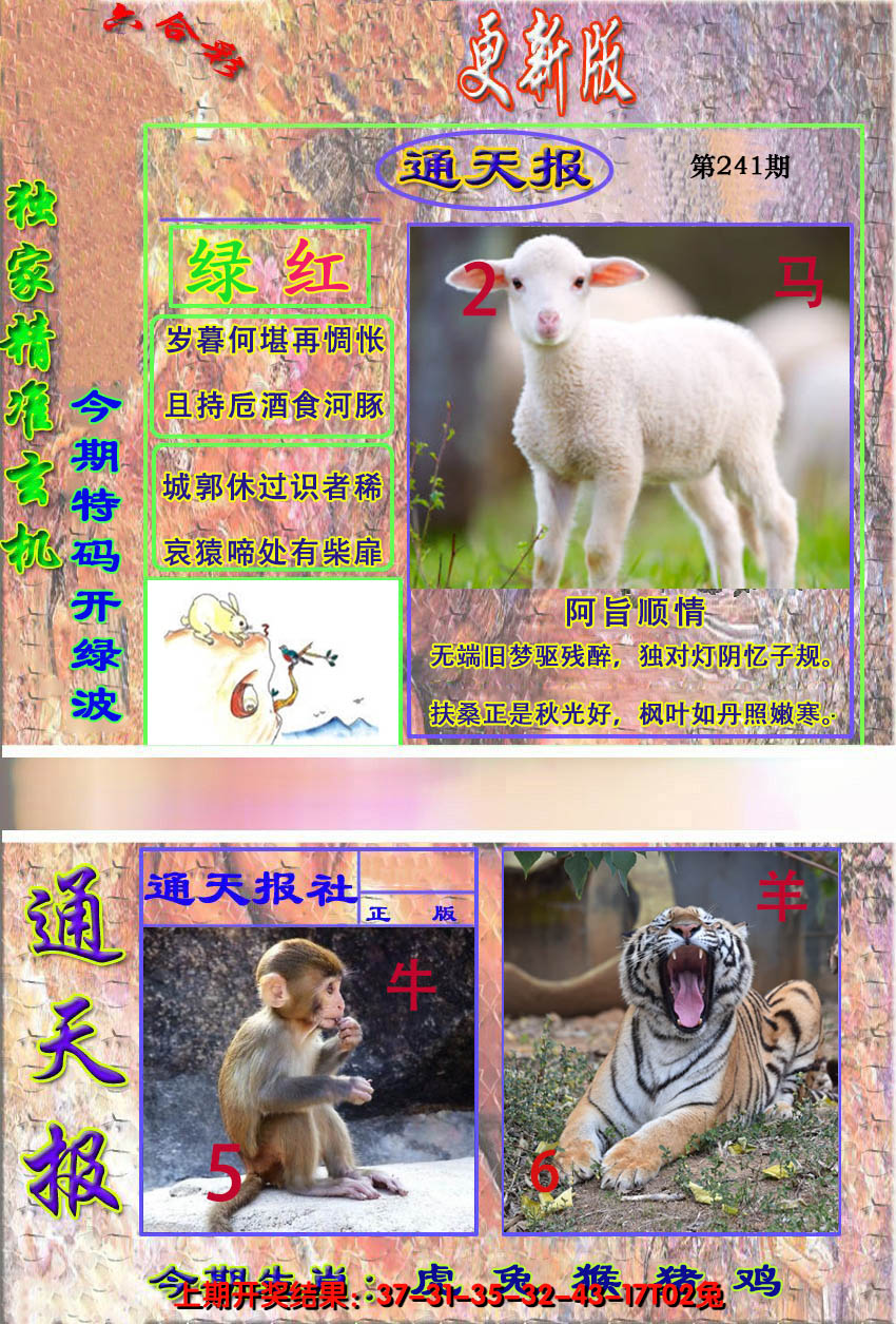 2024241期新通报