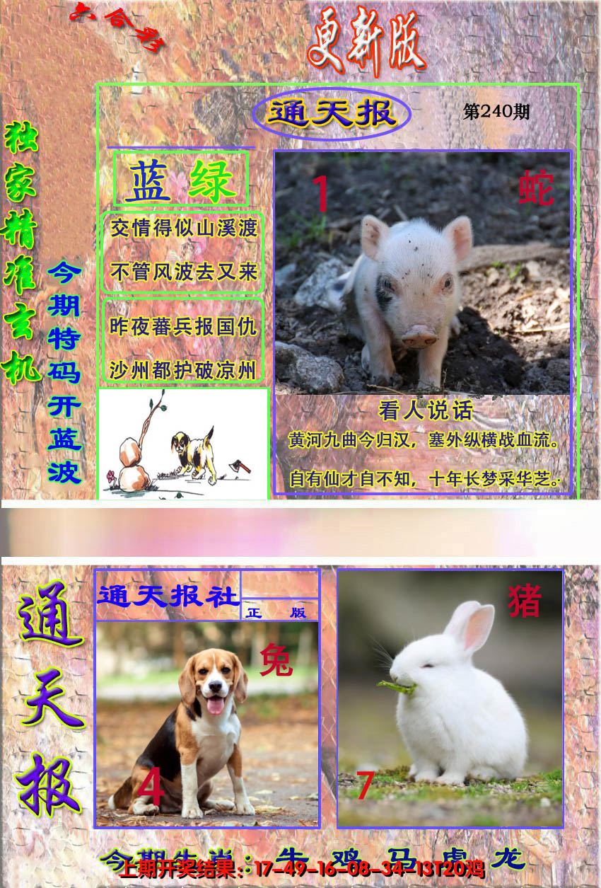 2024240期新通报
