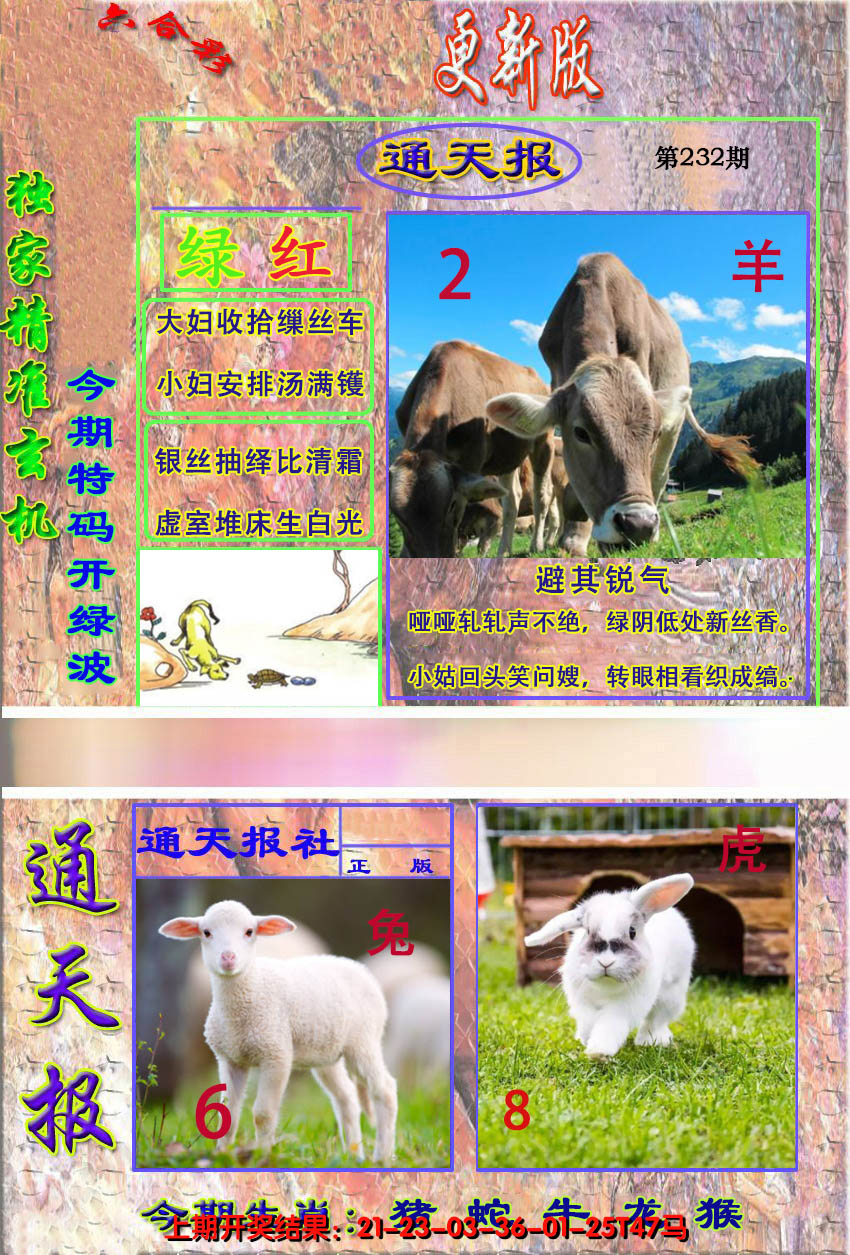 2024232期新通报