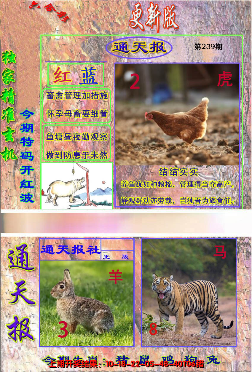 2024239期新通报