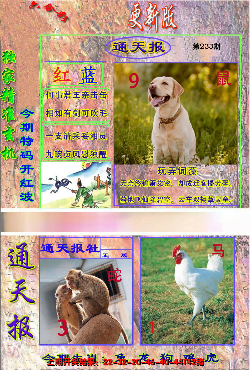 2024233期新通报
