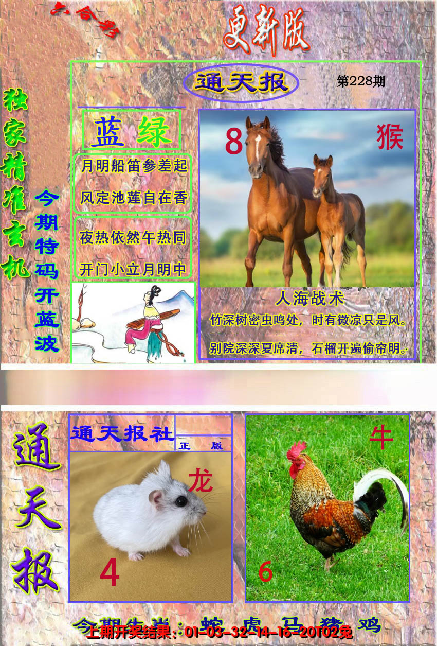 2024228期新通报
