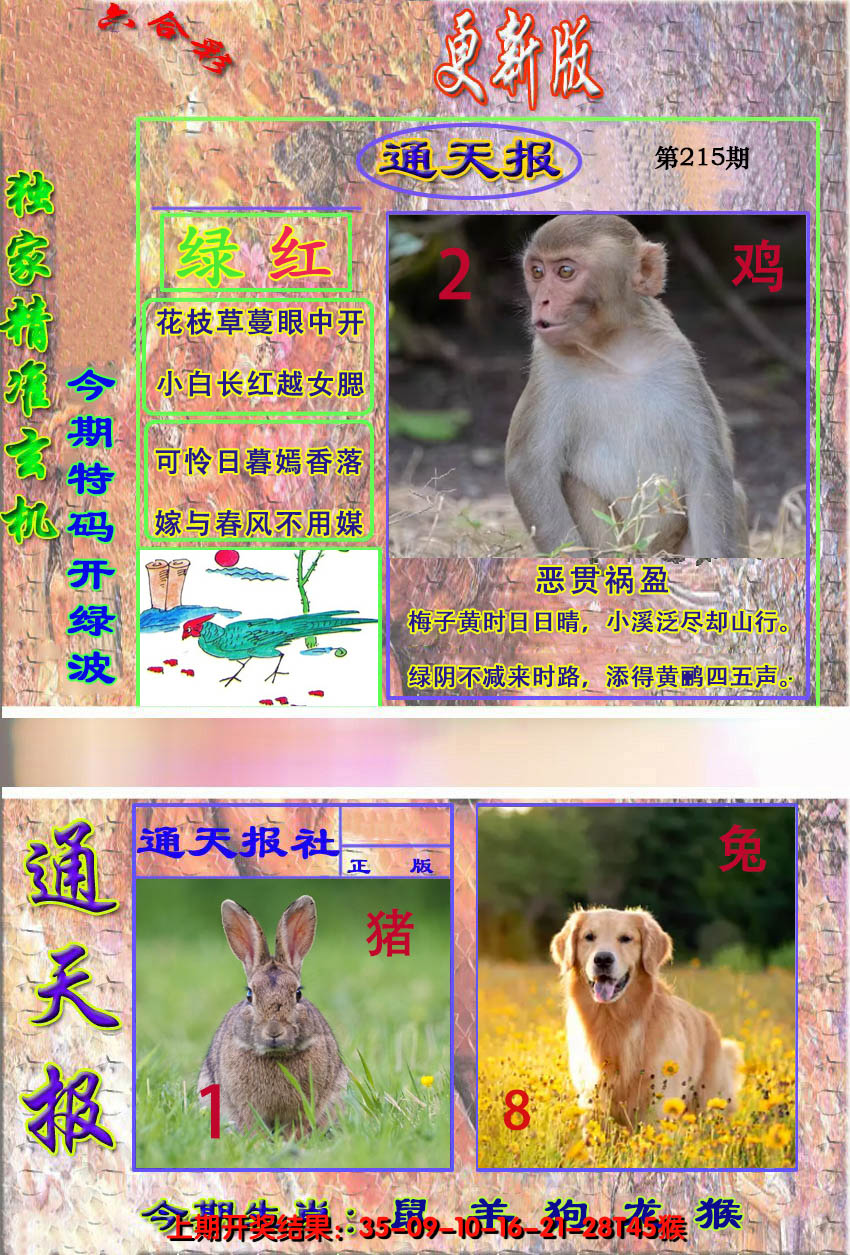 2024215期新通报