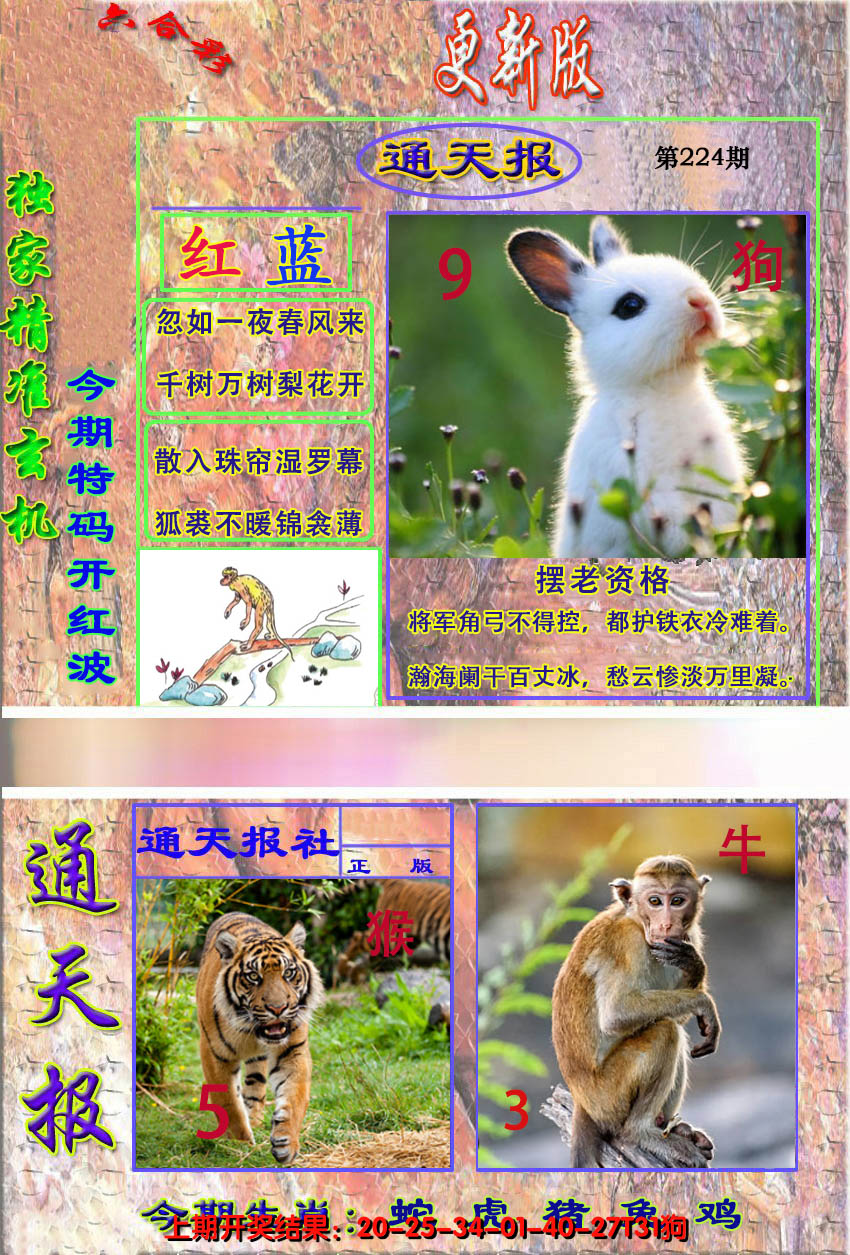 2024224期新通报