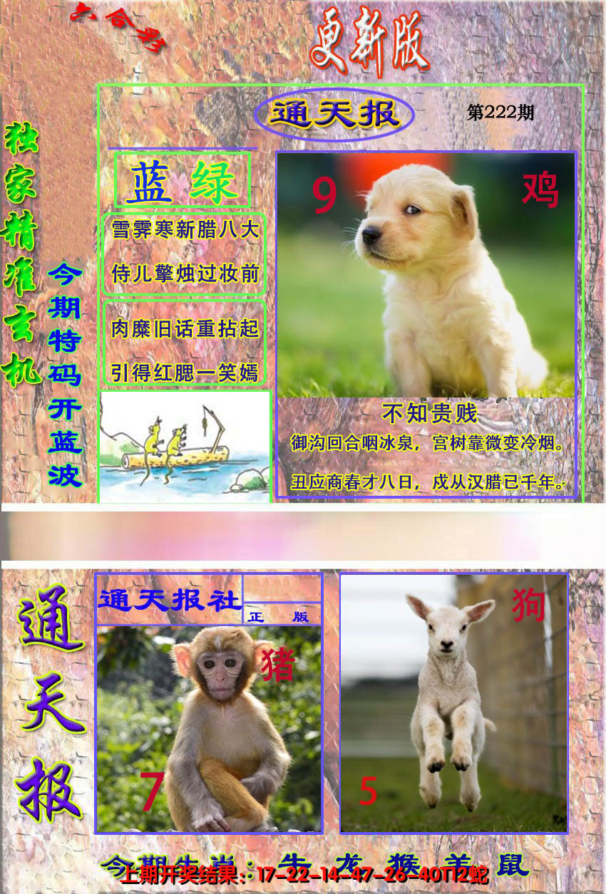 2024222期新通报