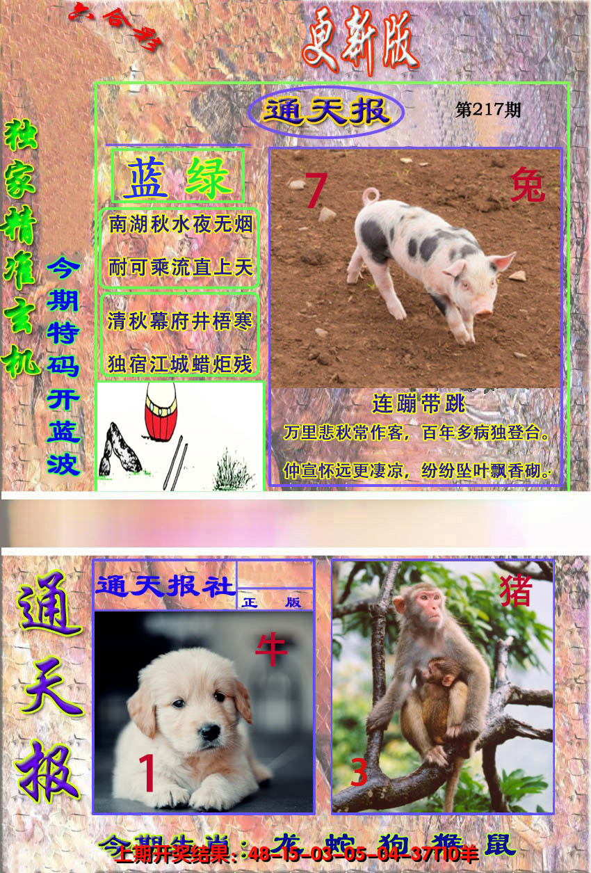 2024217期新通报