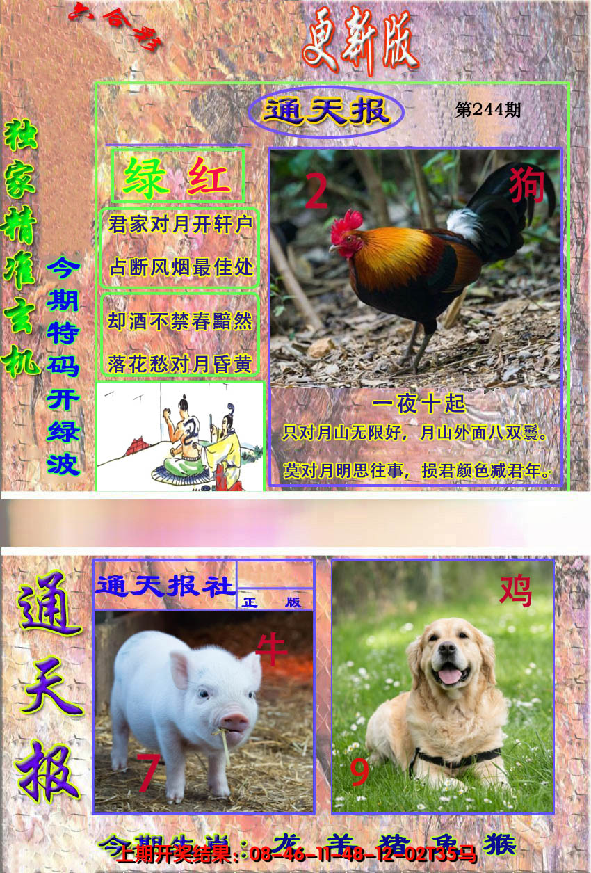 2024244期新通报
