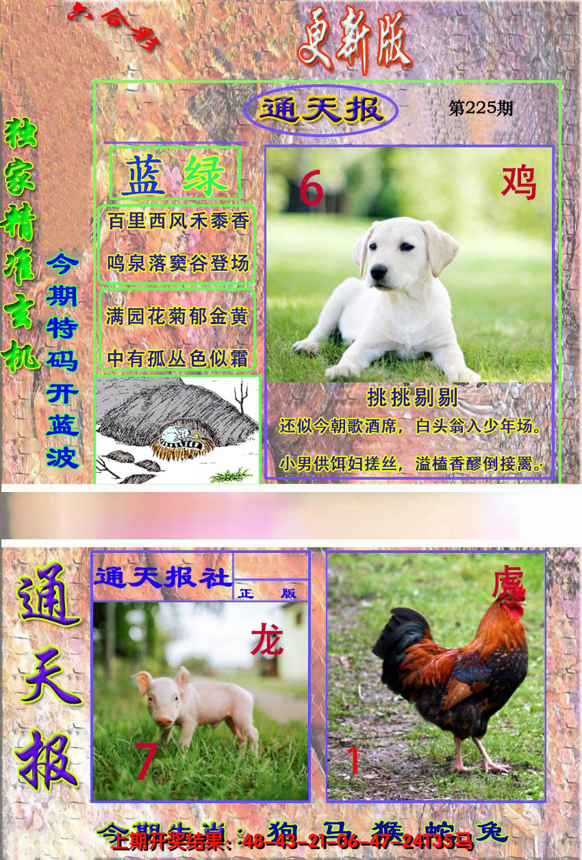 2024225期新通报
