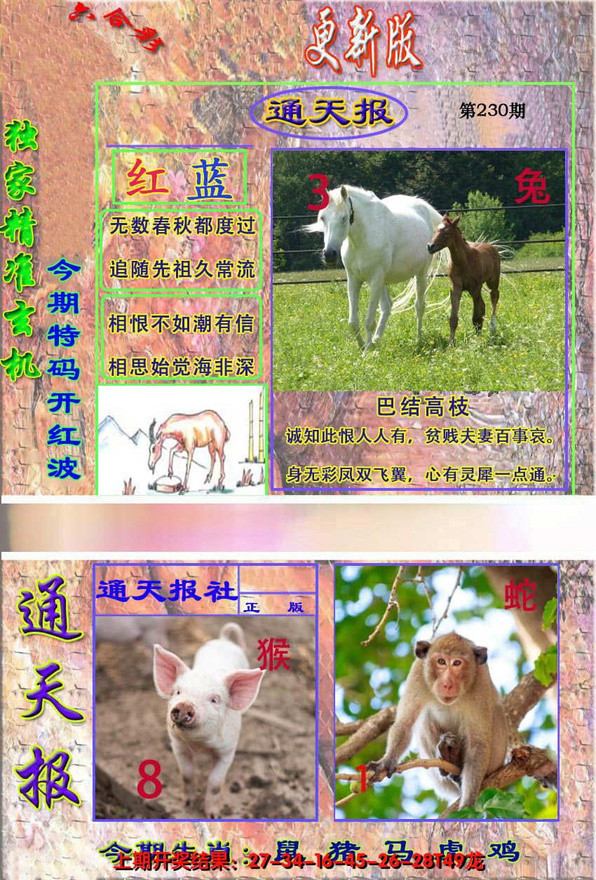 2024230期新通报