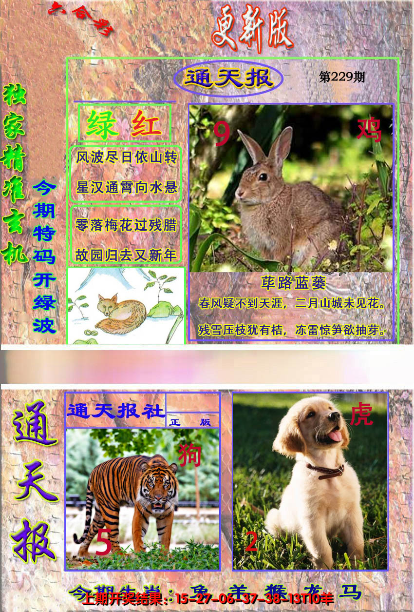 2024229期新通报