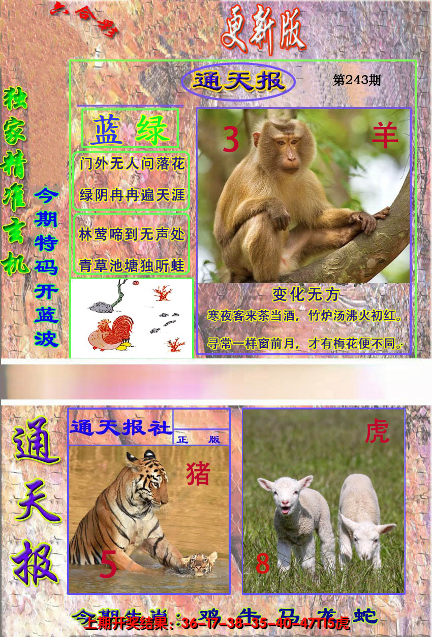 2024243期新通报