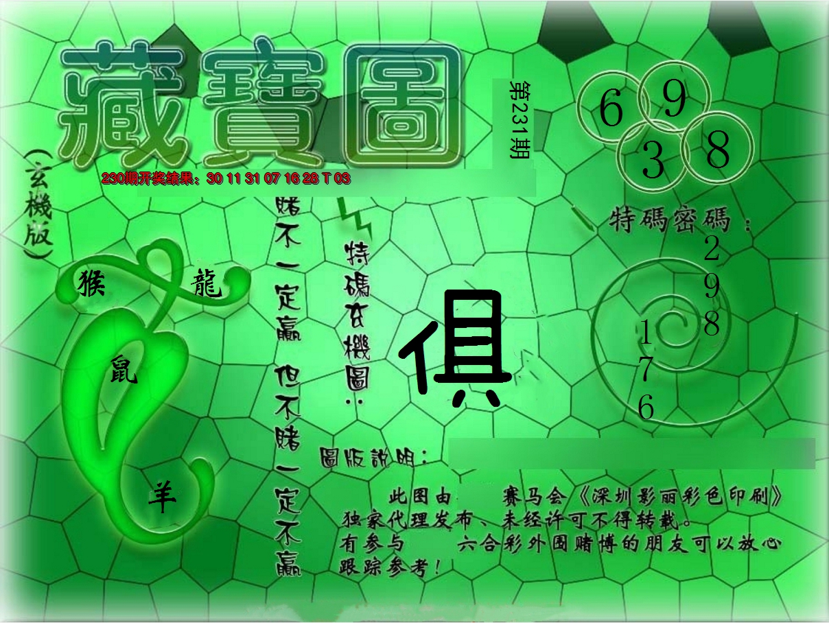 2024231期九龍玄机报
