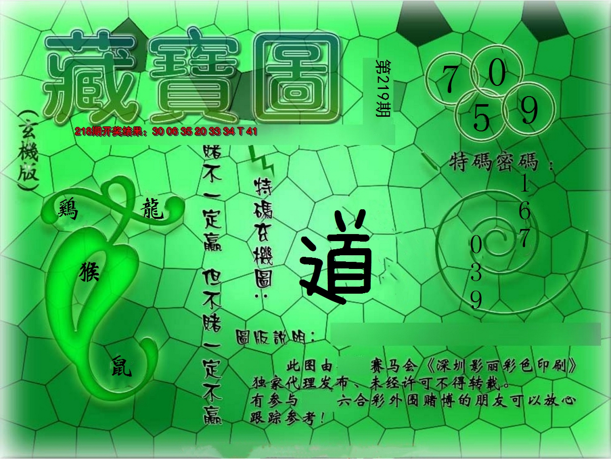 2024219期九龍玄机报