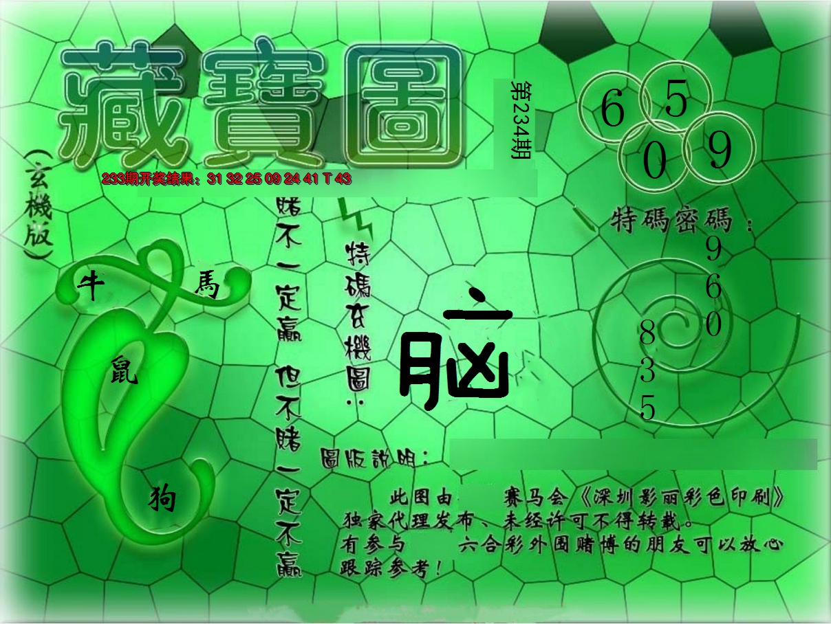 2024234期九龍玄机报
