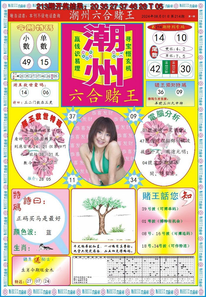 2024214期潮州六合赌王A