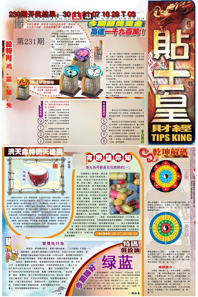 2024231期贴士皇A加大版