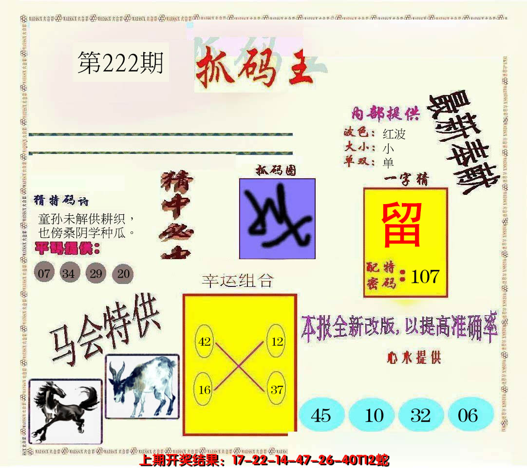 2024222期新抓码王