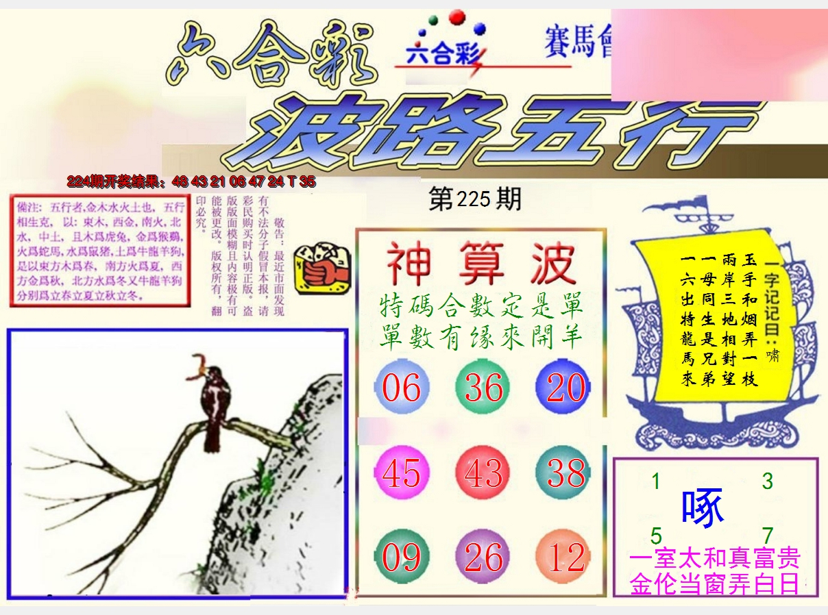 2024225期波路五行