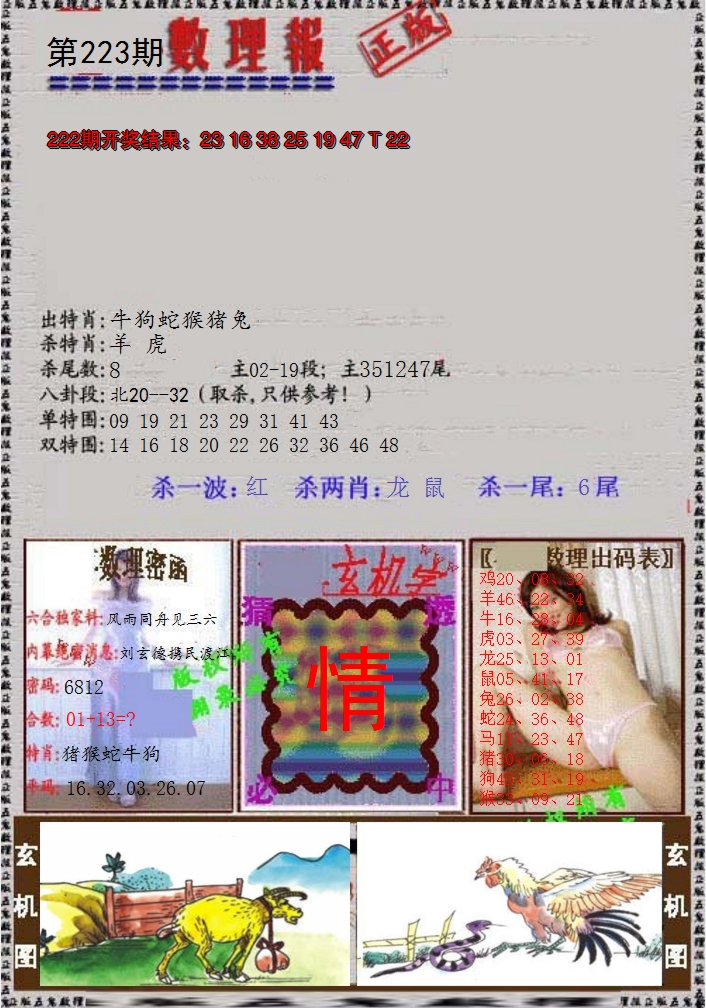 2024223期数理报