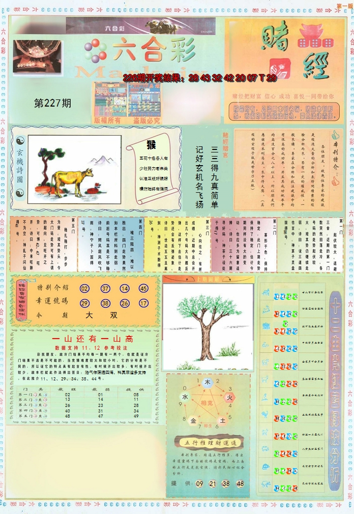 2024227期小赌经A