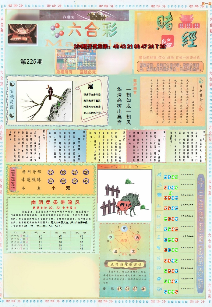 2024225期小赌经A