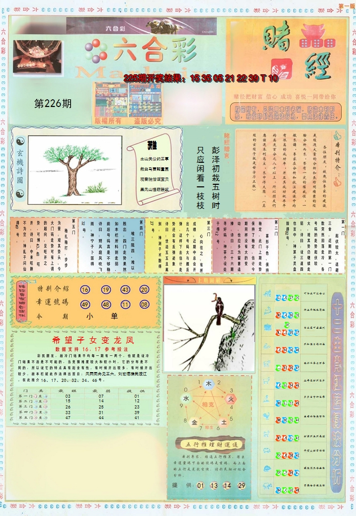 2024226期小赌经A