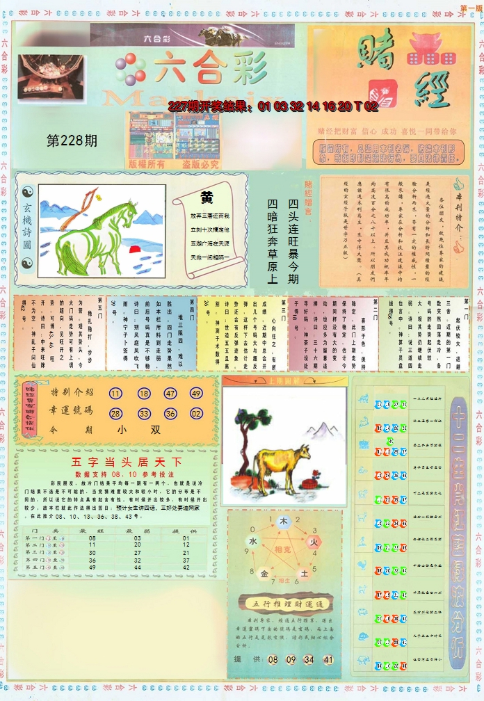 2024228期小赌经A