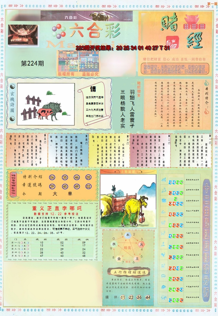 2024224期小赌经A