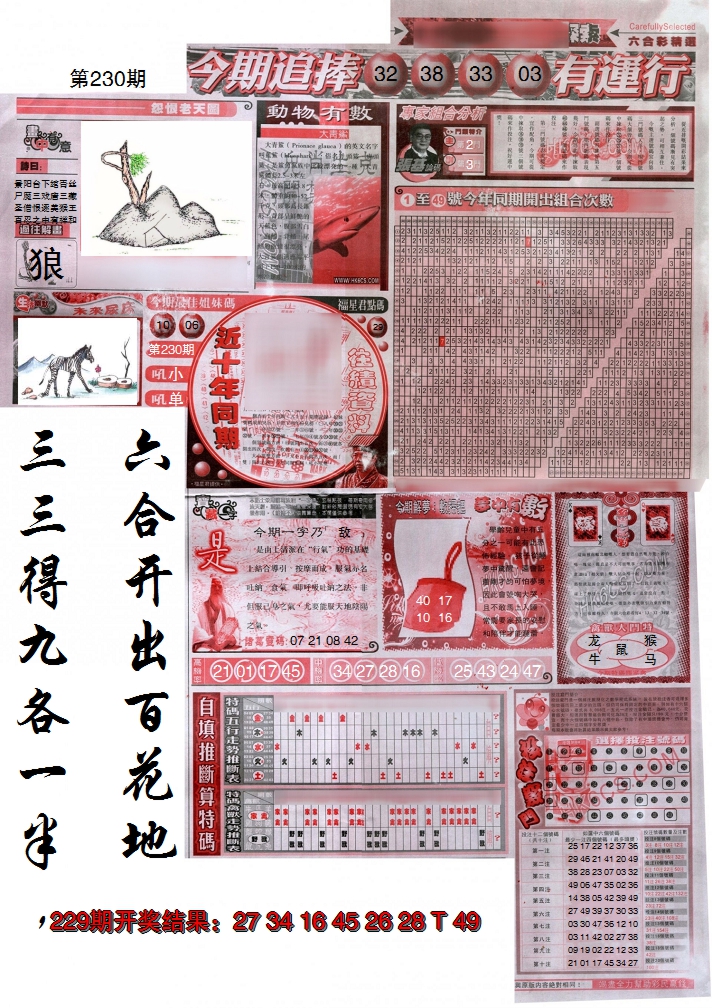 2024230期新六合精选B