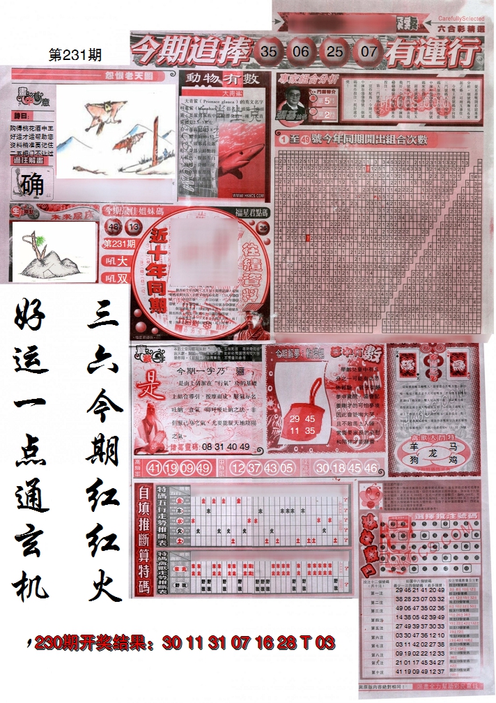 2024231期新六合精选B