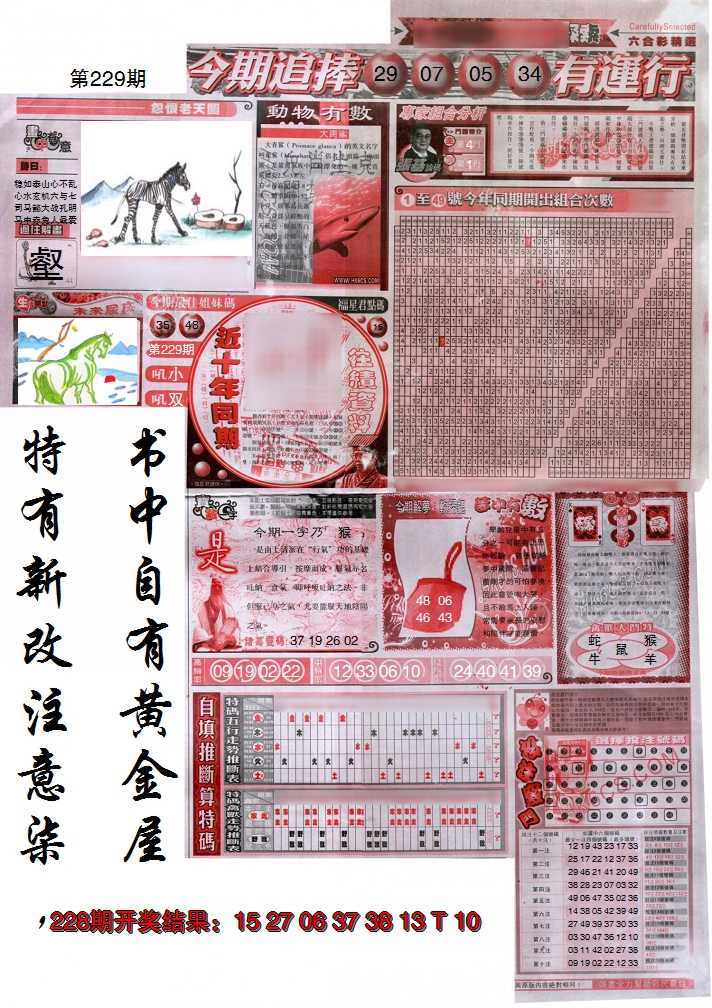 2024229期新六合精选B