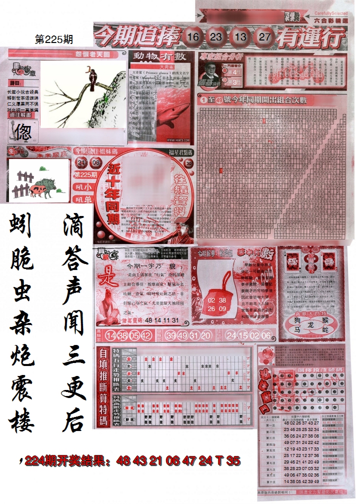 2024225期新六合精选B
