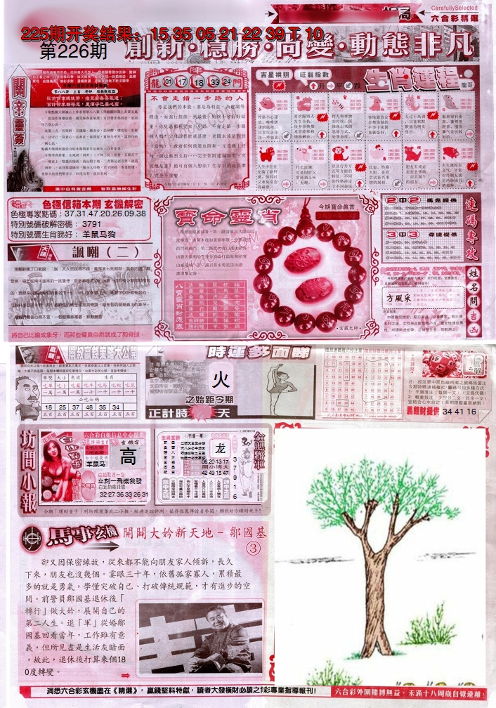 2024226期新六合精选C