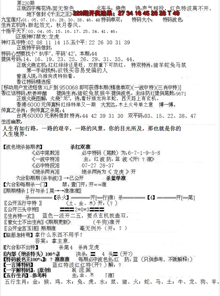 2024230期先锋总刚B