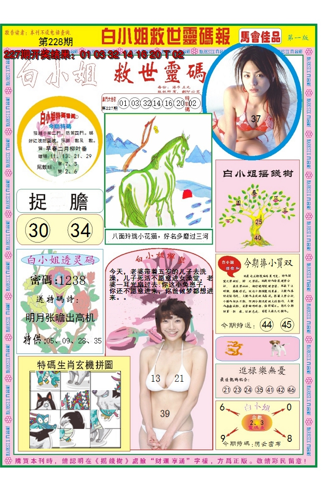 2024228期白小姐龙卷风A