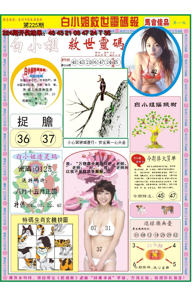2024225期白小姐龙卷风A
