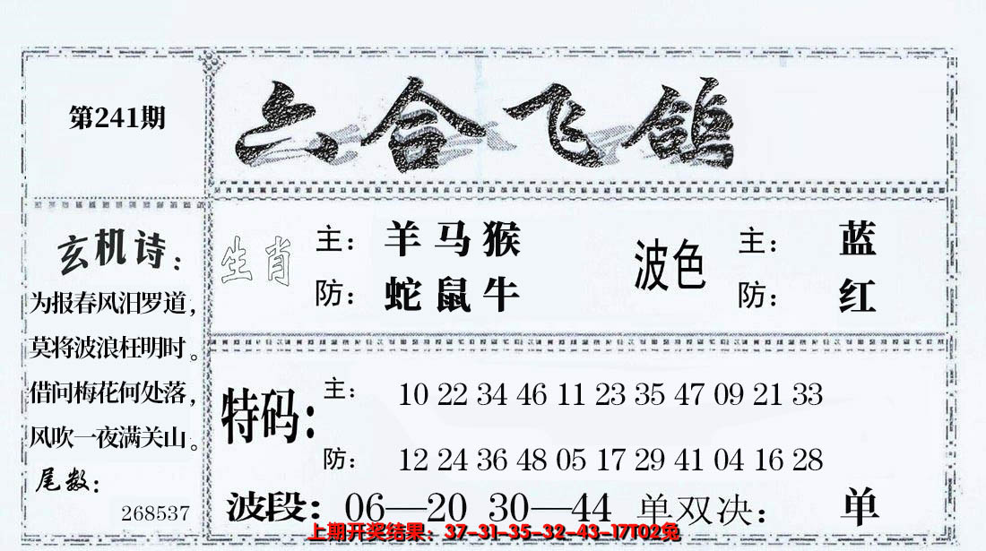 2024241期六合飞鸽