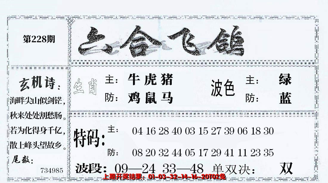 2024228期六合飞鸽