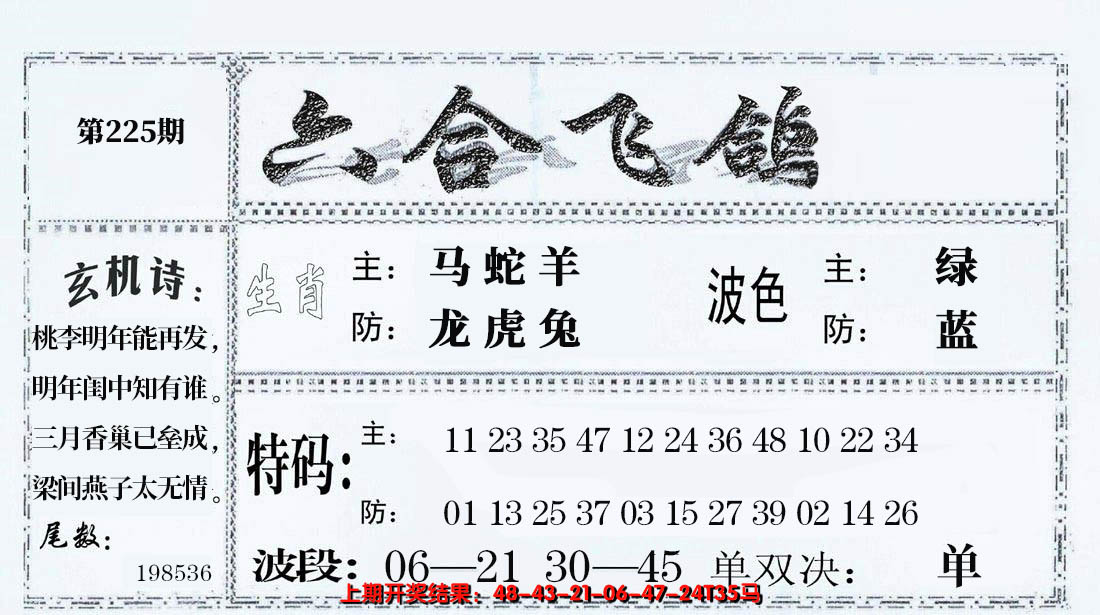 2024225期六合飞鸽